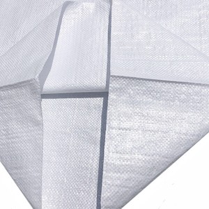 Buy Cheap Price Polypropylene Woven 50kg Sand Bag